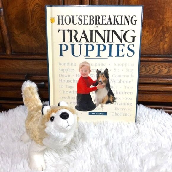 Housebreaking and Training Puppies Book & Stuffed Puppy Set - Picture 1 of 9